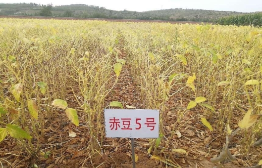 1731651908169979.jpg W020240524332758983587_ORIGIN.jpg